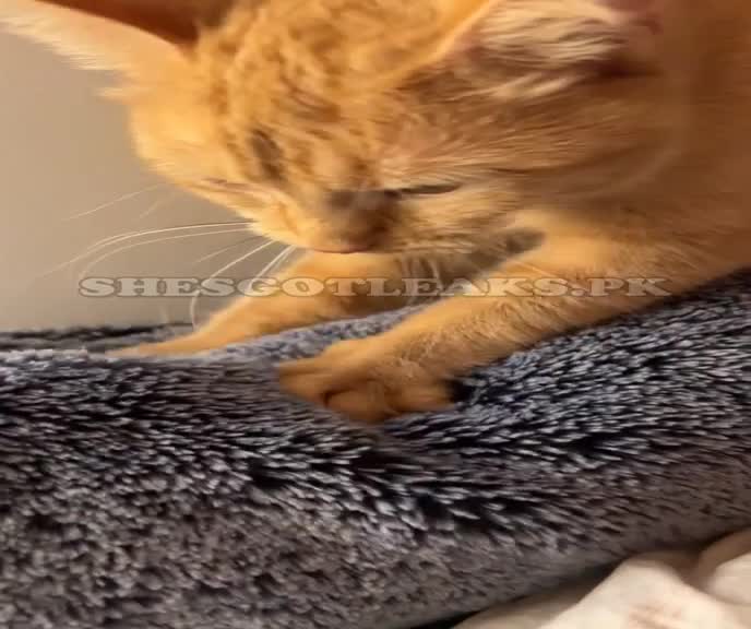 amaleaked.pk-Rosa-Musante-10.mp4