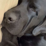 amaleaked.pk-Rosa-Musante-1161