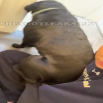 amaleaked.pk-Rosa-Musante-119