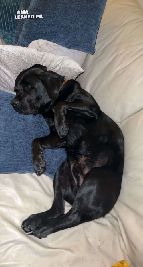 amaleaked.pk Rosa Musante 1287