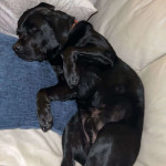 amaleaked.pk-Rosa-Musante-1287