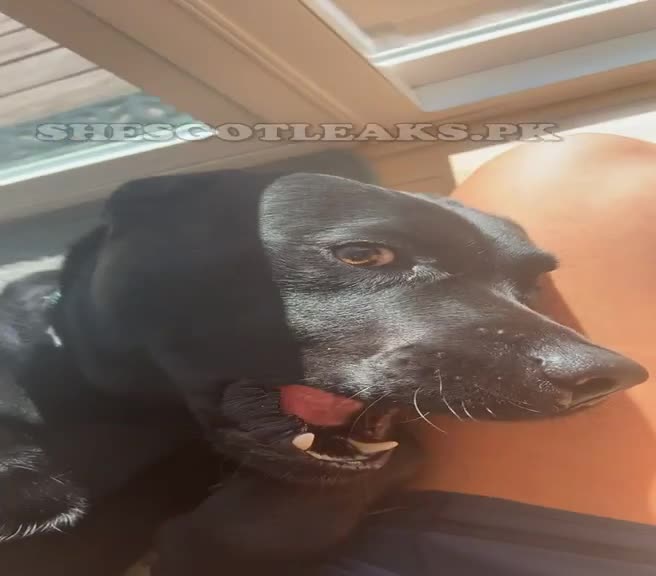 amaleaked.pk-Rosa-Musante-131.mp4