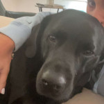 amaleaked.pk-Rosa-Musante-1468