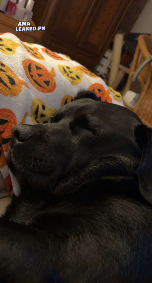 amaleaked.pk Rosa Musante 1509