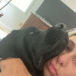 amaleaked.pk-Rosa-Musante-1614