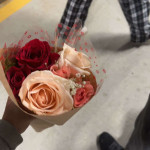 amaleaked.pk-Rosa-Musante-1639