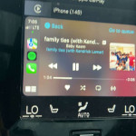 amaleaked.pk-Rosa-Musante-1657