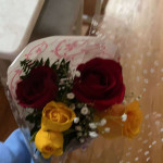 amaleaked.pk-Rosa-Musante-1695