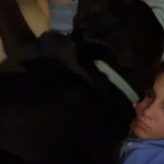 amaleaked.pk-Rosa-Musante-1786