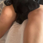 amaleaked.pk-Rosa-Musante-1809