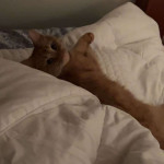 amaleaked.pk-Rosa-Musante-1811