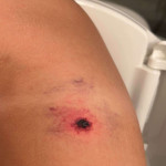 amaleaked.pk-Rosa-Musante-1829