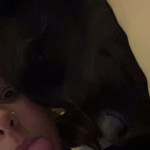 amaleaked.pk-Rosa-Musante-1846