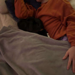 amaleaked.pk-Rosa-Musante-1855