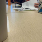 amaleaked.pk-Rosa-Musante-1867