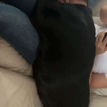 amaleaked.pk-Rosa-Musante-1869