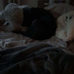 amaleaked.pk-Rosa-Musante-1894