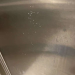 amaleaked.pk-Rosa-Musante-1910