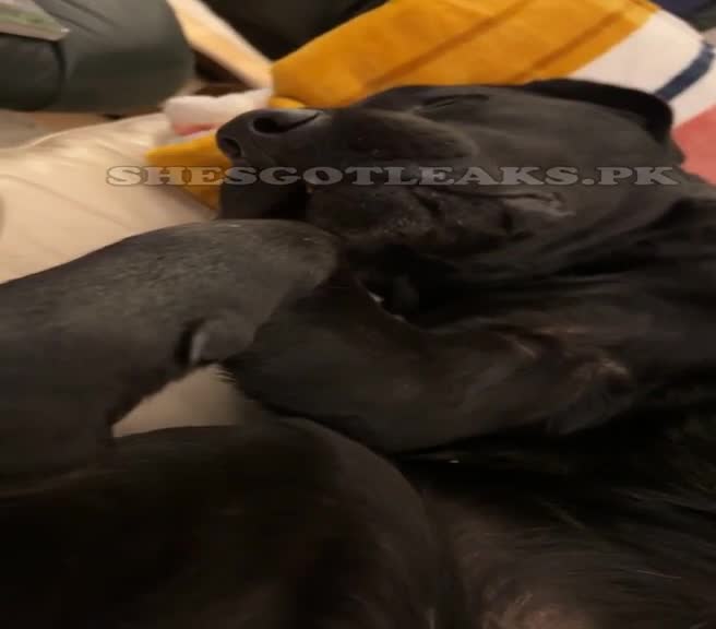 amaleaked.pk-Rosa-Musante-270.mp4