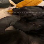 amaleaked.pk-Rosa-Musante-270