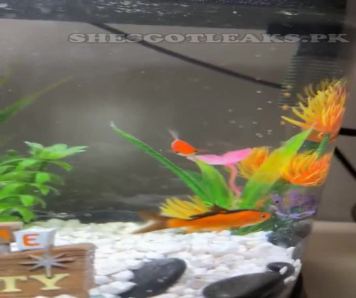 amaleaked.pk Rosa Musante 274