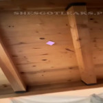 amaleaked.pk-Rosa-Musante-280