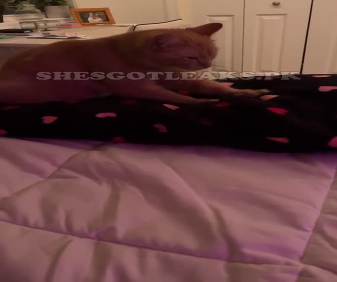 amaleaked.pk-Rosa-Musante-287.mp4