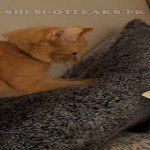 amaleaked.pk-Rosa-Musante-313