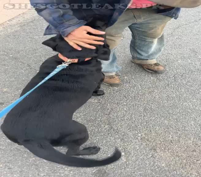 amaleaked.pk-Rosa-Musante-315.mp4