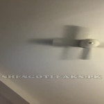 amaleaked.pk-Rosa-Musante-32