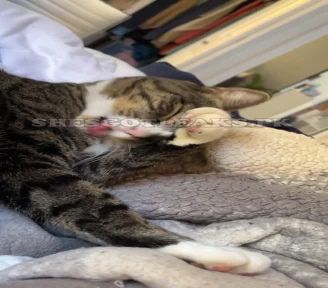 amaleaked.pk-Rosa-Musante-33.mp4