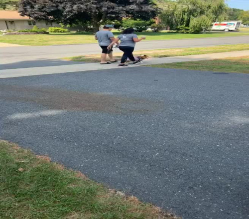 amaleaked.pk Rosa Musante 338