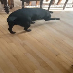 amaleaked.pk-Rosa-Musante-367