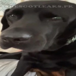 amaleaked.pk-Rosa-Musante-373