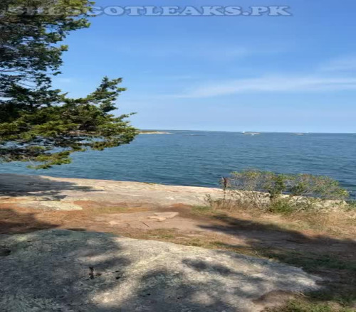 amaleaked.pk Rosa Musante 387