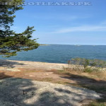 amaleaked.pk-Rosa-Musante-387