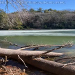 amaleaked.pk-Rosa-Musante-401