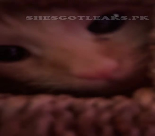 amaleaked.pk Rosa Musante 411