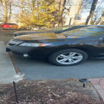 amaleaked.pk-Rosa-Musante-418