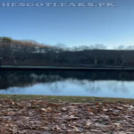 amaleaked.pk-Rosa-Musante-447