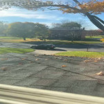 amaleaked.pk-Rosa-Musante-457