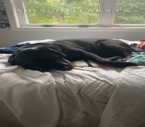 amaleaked.pk Rosa Musante 463