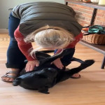 amaleaked.pk-Rosa-Musante-49