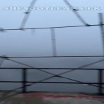 amaleaked.pk-Rosa-Musante-490