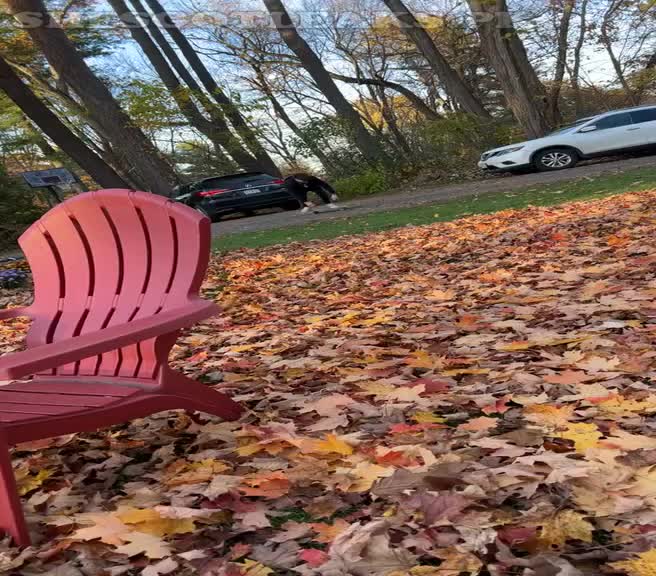 amaleaked.pk-Rosa-Musante-535.mp4