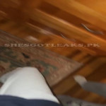 amaleaked.pk-Rosa-Musante-56