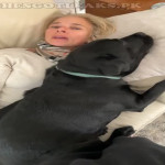 amaleaked.pk-Rosa-Musante-591