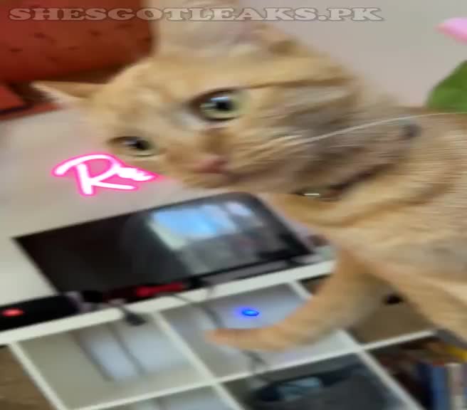 amaleaked.pk-Rosa-Musante-592.mp4
