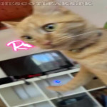 amaleaked.pk-Rosa-Musante-592