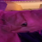 amaleaked.pk-Rosa-Musante-626